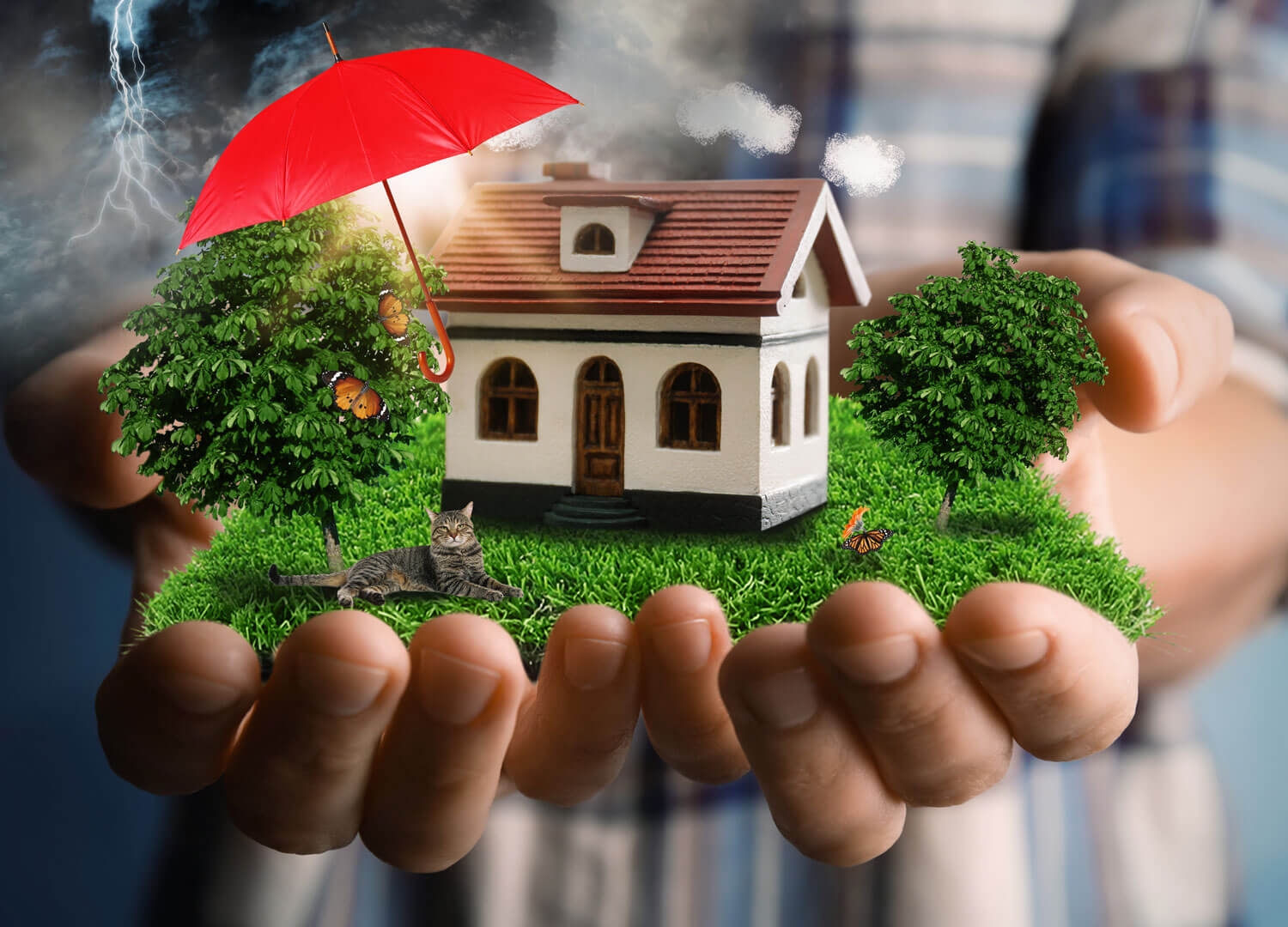 Insurance-Services